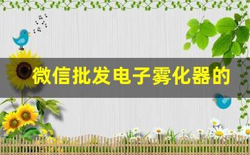 微信批发电子雾化器的市场前景分析