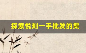 探索悦刻一手批发的渠道与合作模式