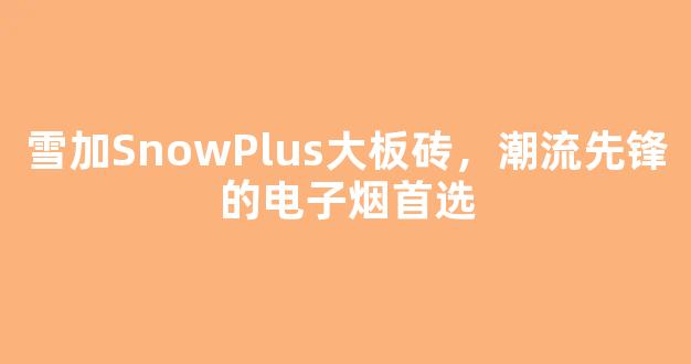 雪加SnowPlus大板砖，潮流先锋的电子烟首选