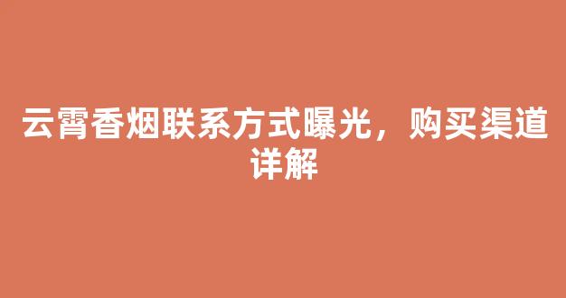 云霄香烟联系方式曝光，购买渠道详解