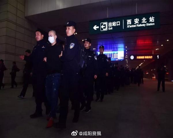 免税正品烟代购网_特大网络销售假烟案_假烟案件调查